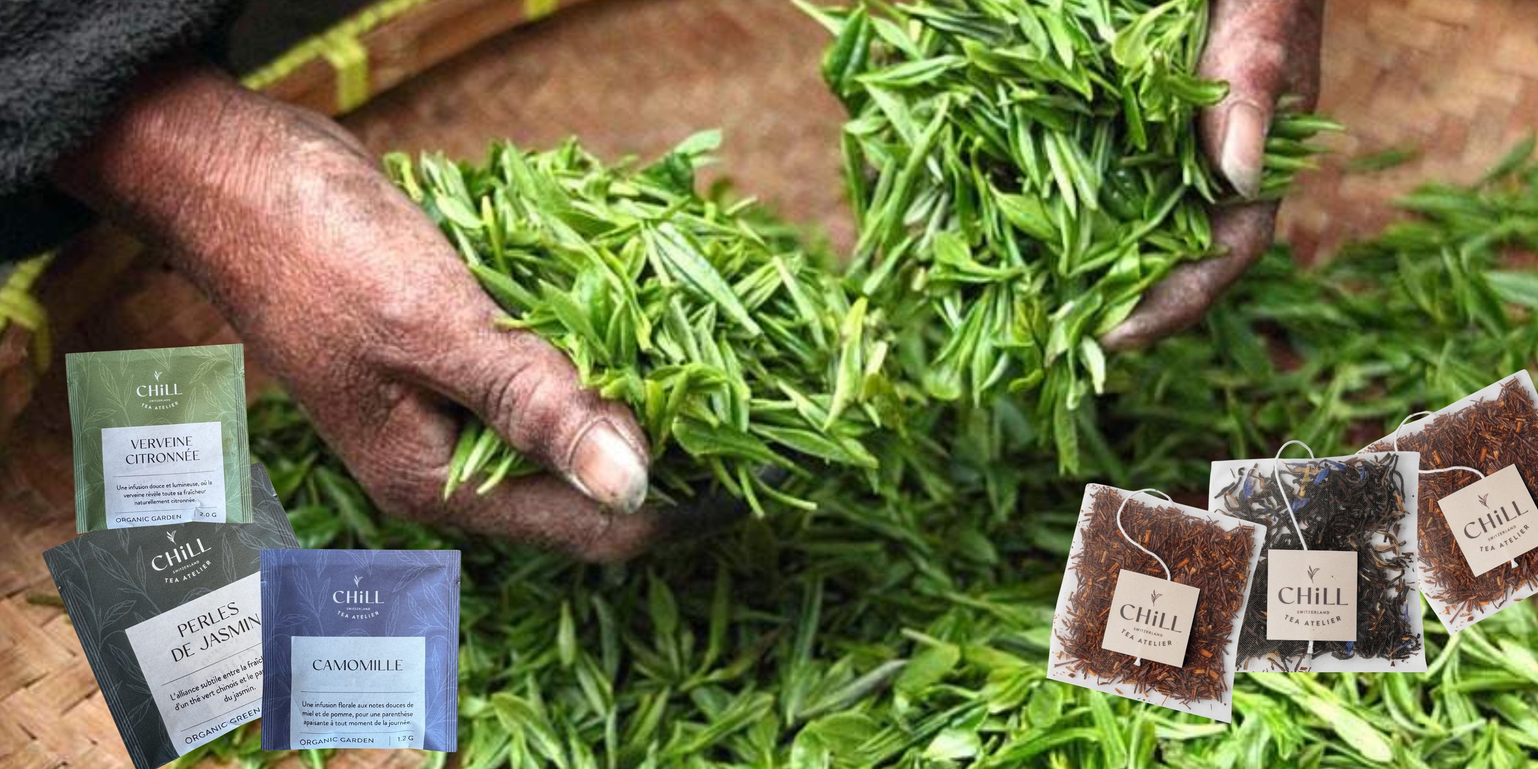 Thé artisanal en Suisse : comment reconnaître un thé de qualité ?