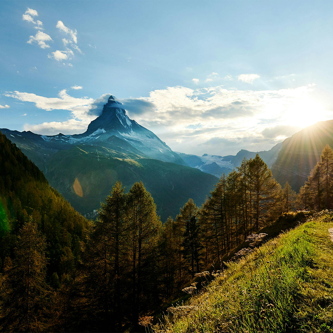 Swiss Heritage : Un voyage au cœur des Alpes à travers nos infusions