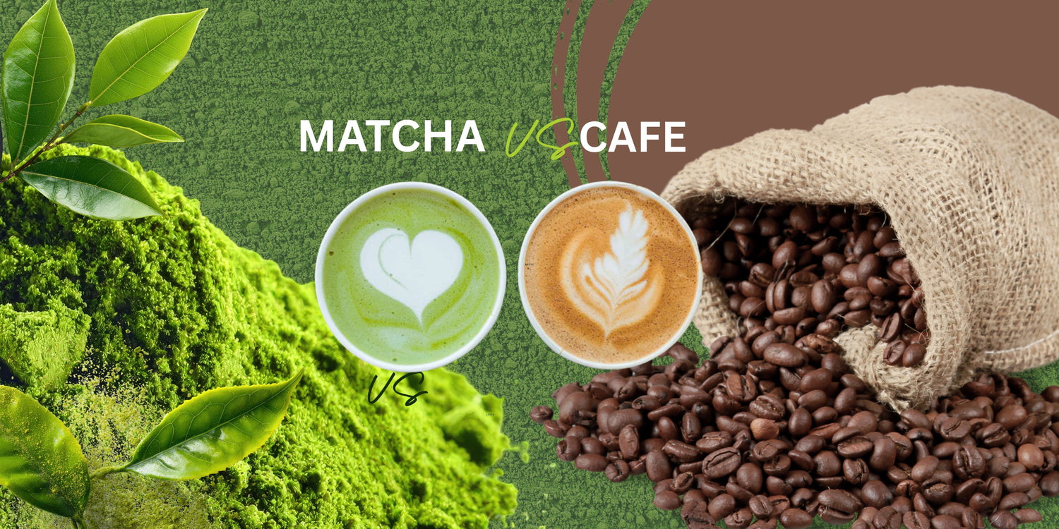 Matcha vs Café :  lequel choisir pour votre énergie du matin ?