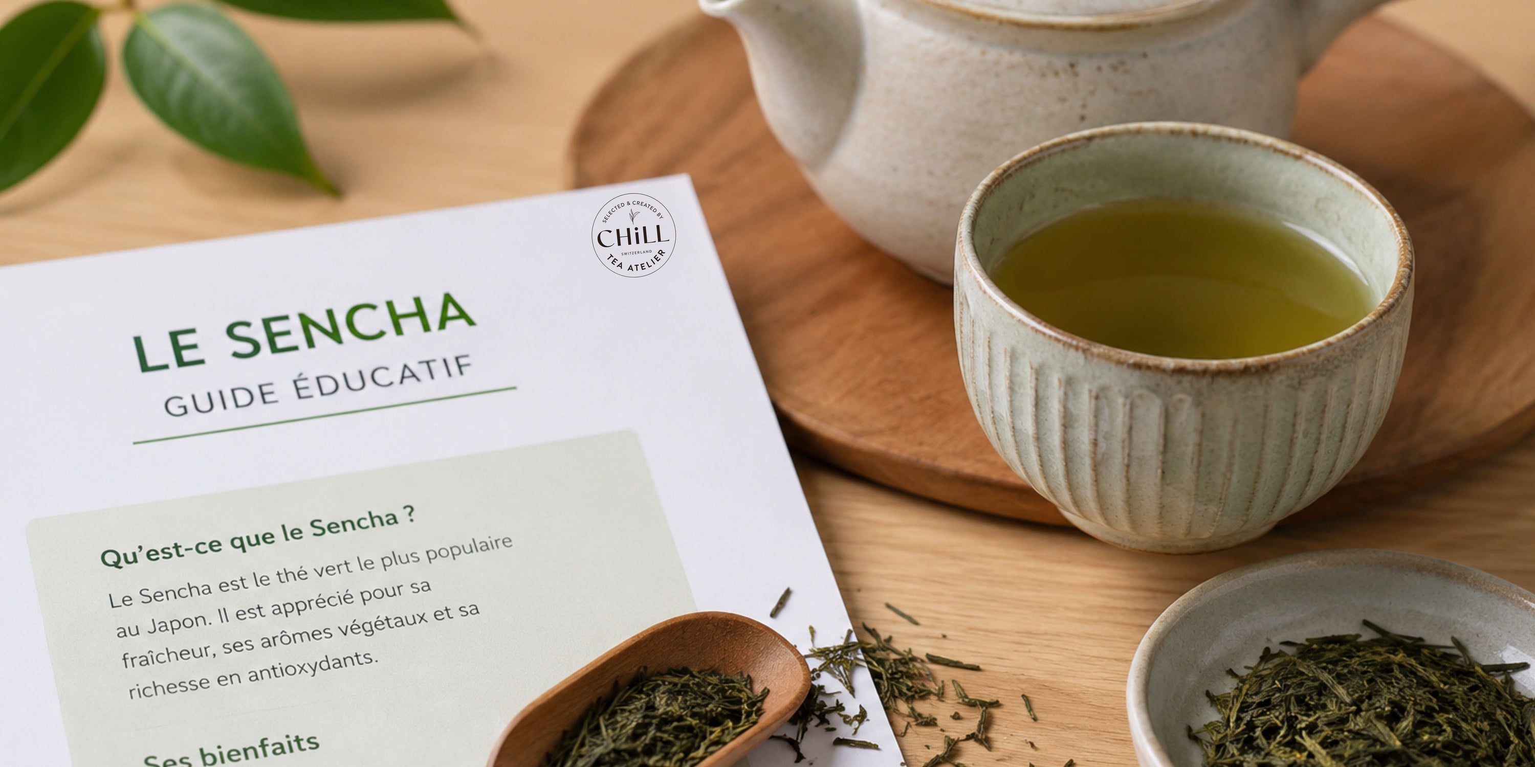 Le Sencha, âme du Japon dans votre tasse